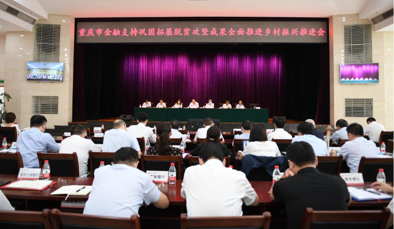 重庆：加快推进“1+2+N普惠...