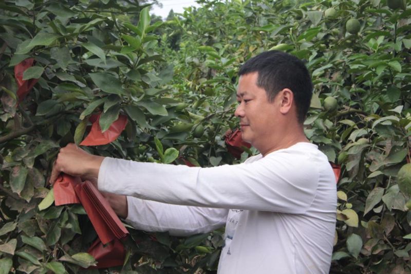 人民银行重庆市分行加大再贷款投...